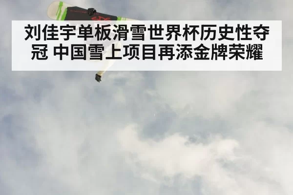 刘佳宇单板滑雪世界杯历史性夺冠 中国雪上项目再添金牌荣耀